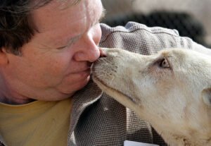 SoCal Animal Rescue Founder Facing Kidnapping Allegations from Former Employee