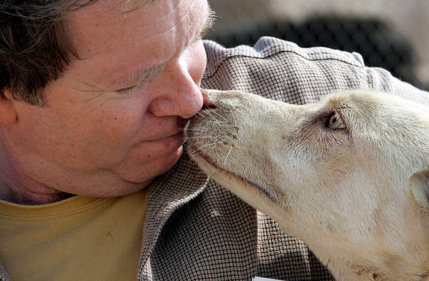 SoCal Animal Rescue Founder Facing Kidnapping Allegations from Former Employee