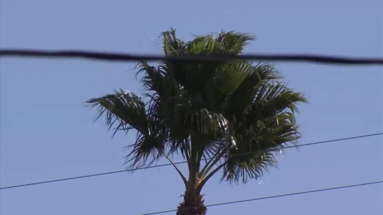 Strong Winds Continue to Affect Southland, with Santa Ana Conditions on the Way This Weekend