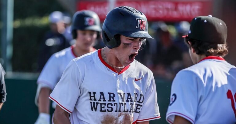 Top 25 High School Baseball Teams You Should Know About