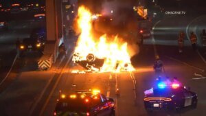 Tragic Collision on 110 Freeway in Downtown LA Claims Life and Leaves One Injured