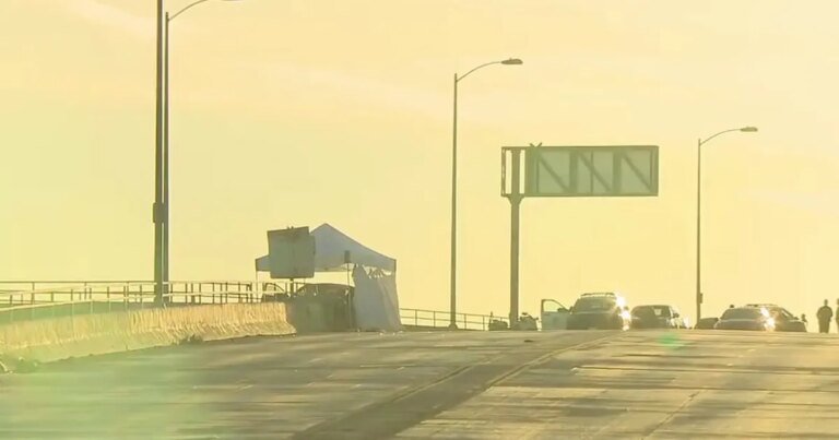 Tragic Crash in Watts Claims Life of Man and Injures 7-Year-Old Girl