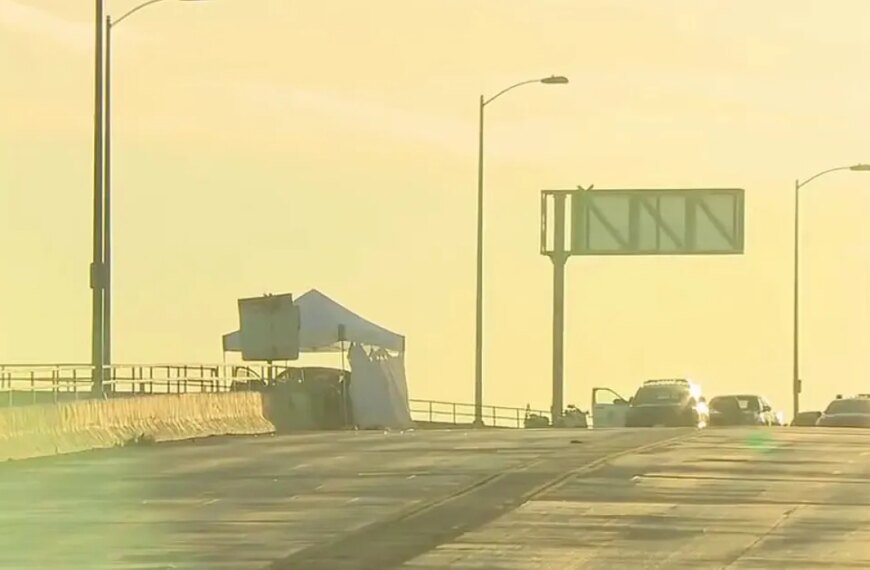 Tragic Crash in Watts Claims Life of Man and Injures 7-Year-Old Girl