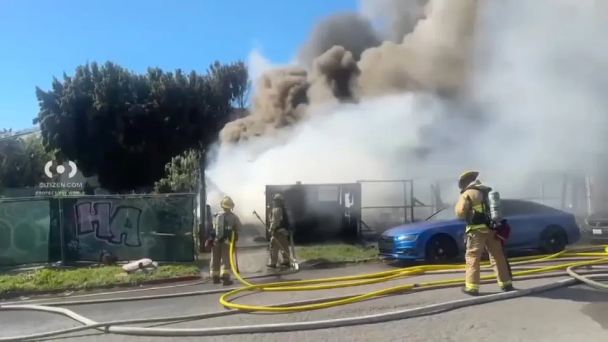 Tragic House Fire in Larchmont Claims Lives of Two Dogs, Family Heartbroken