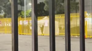 Tragic Incident in Downtown LA: A Man's Death Following Self-Harm