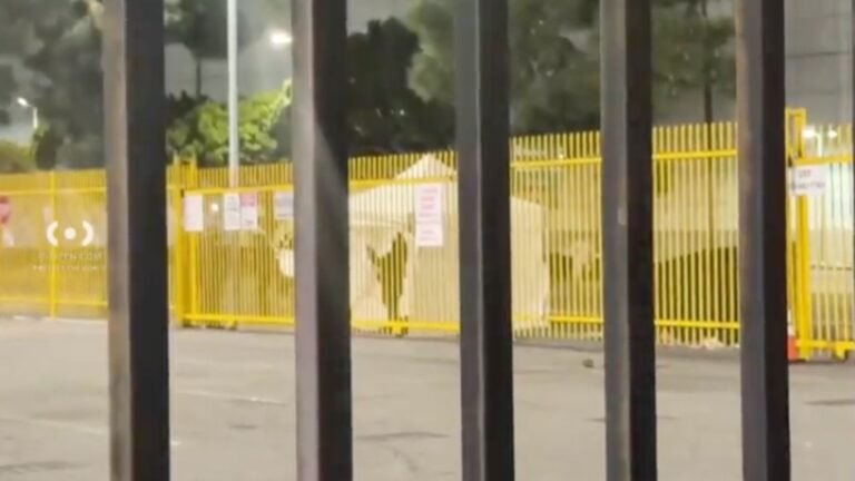 Tragic Incident in Downtown LA: A Man's Death Following Self-Harm