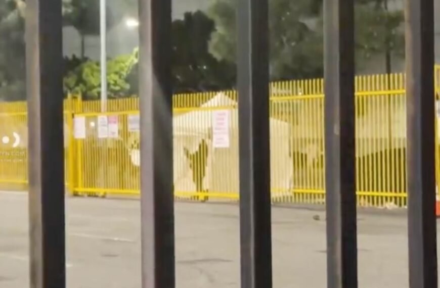 Tragic Incident in Downtown LA: A Man's Death Following Self-Harm