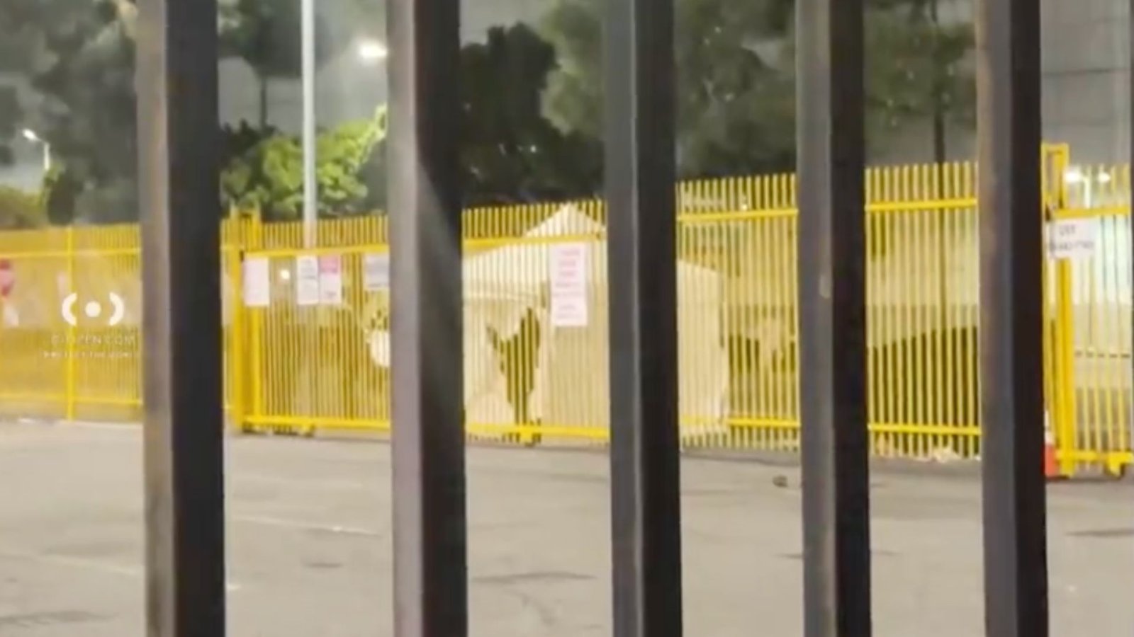 Tragic Incident in Downtown LA: A Man's Death Following Self-Harm