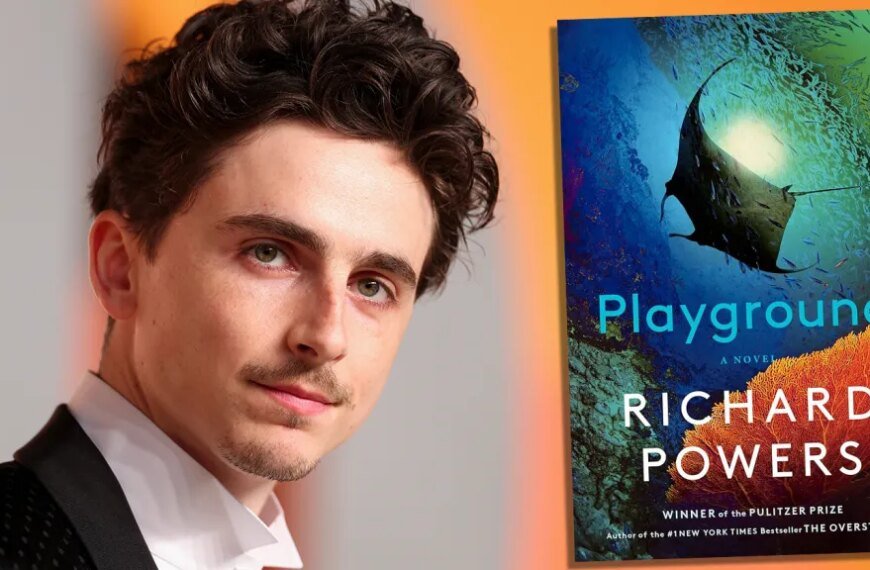 Warner Bros Takes on AI with Timothée Chalamet's New Project 'Playground' and Plan B