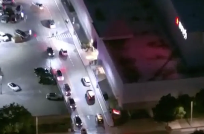 Watches Stolen in Smash-and-Grab at Macy's in Sherman Oaks