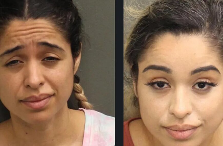 Woman Facing Charges for Shooting at Rihanna's Home Appears in Court