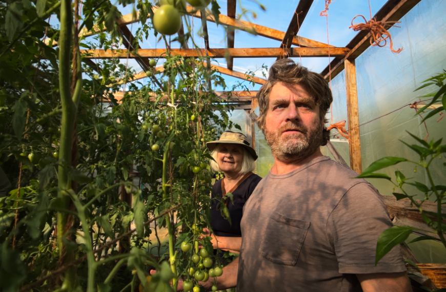 Zach Galifianakis Joins Netflix for a Fun Gardening Show