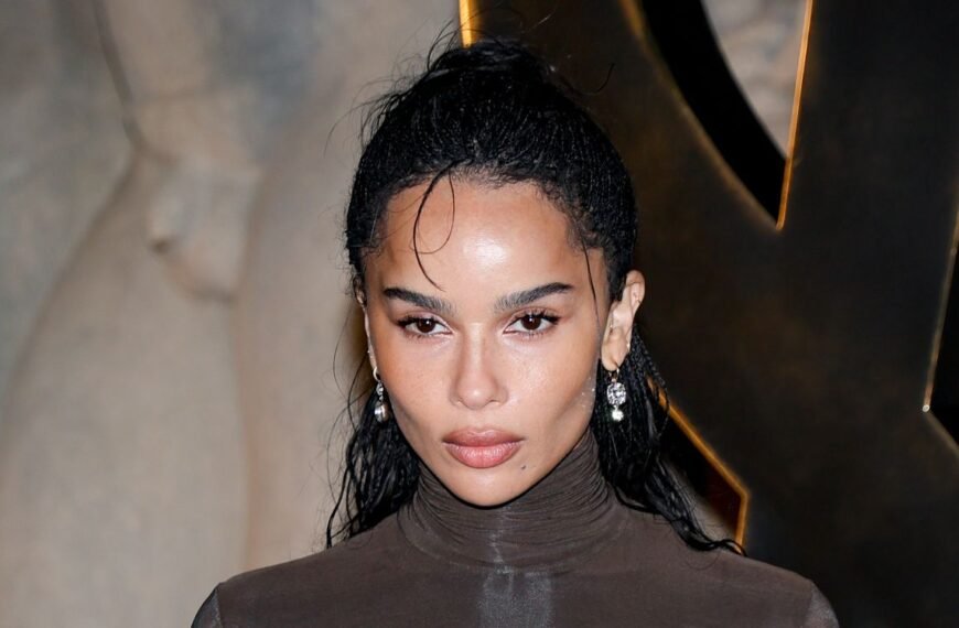 Zoë Kravitz Stuns in a Chic Optical Illusion Top with Sheer Panels at Paris Fashion Week