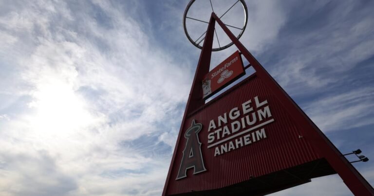 Angels Report Cleanup of Rodent Issue at Concession Stand in Stadium