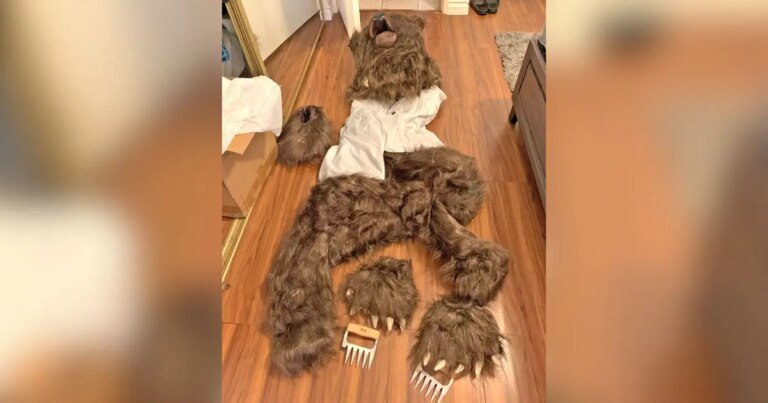 California Trio Sentenced for $142K Bear Suit Insurance Fraud Scheme