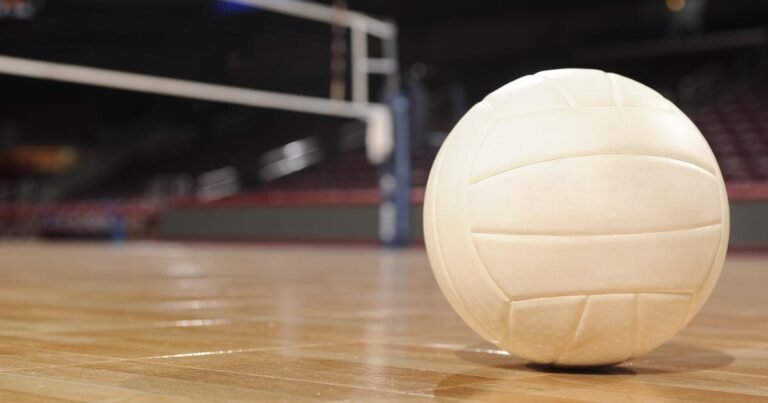 City Section Playoff Matchups for Boys' Volleyball