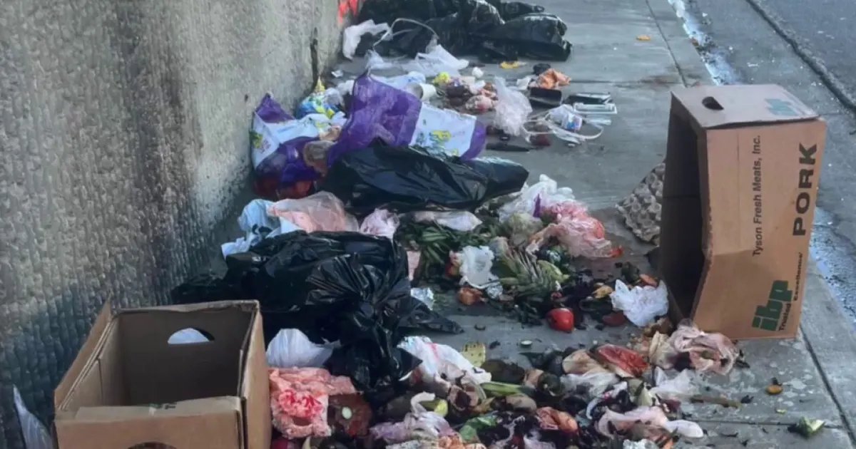 Concerns Over Homeless Encampment Affecting Kids' Journey to School in South Los Angeles