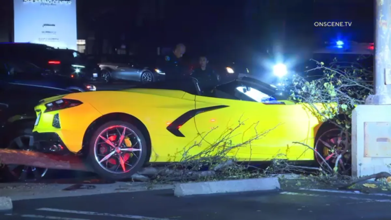 Corvette Driver Crashes into Tree and Pole, Ending Pursuit in Torrance
