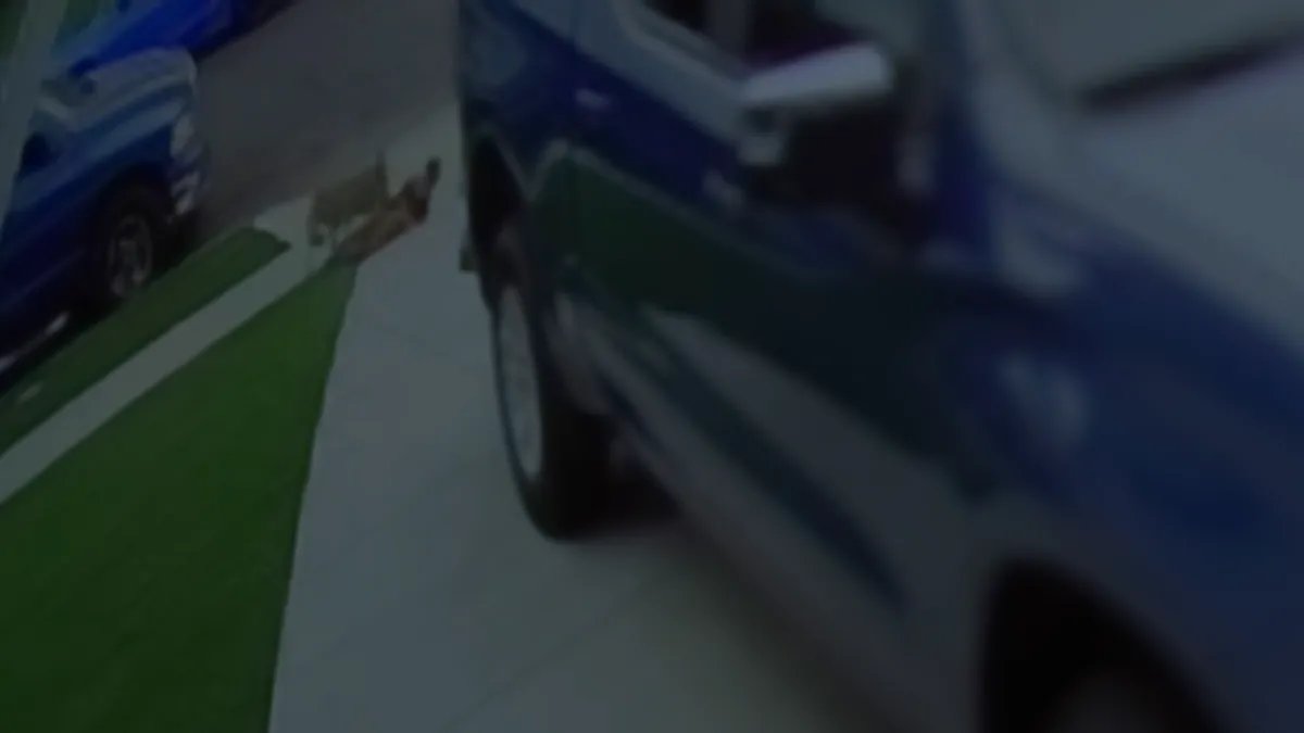 Coyote Involved in Carson Attacks Captured and Euthanized