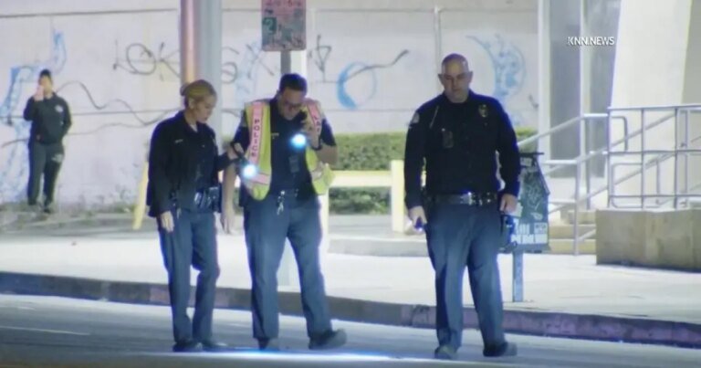 Driver Strikes Woman in Crosswalk While She Uses a Cane, Eyewitnesses Report