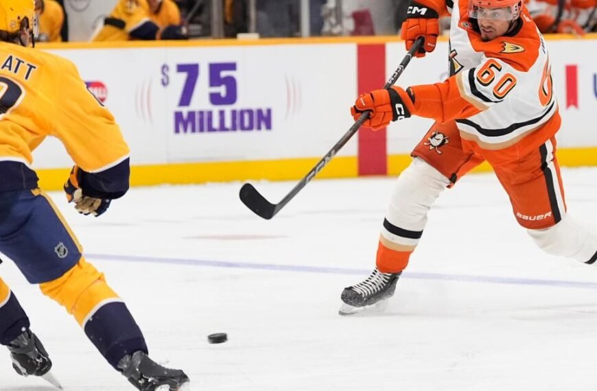 Ducks Take a Step Closer to Playoffs with Victory Against Nashville