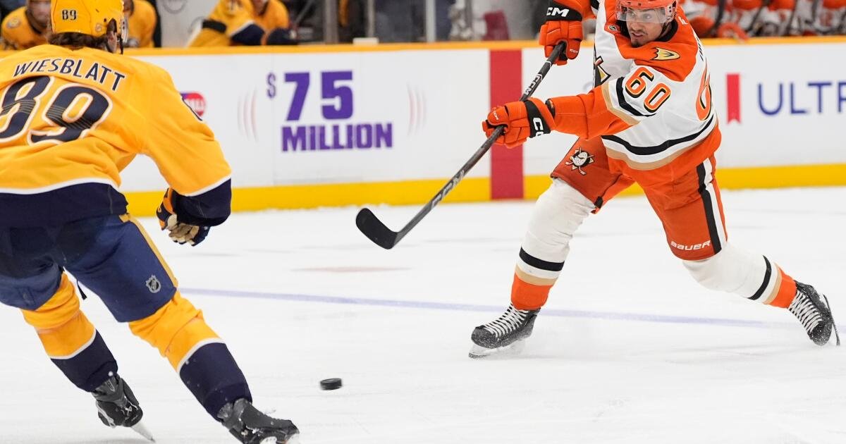 Ducks Take a Step Closer to Playoffs with Victory Against Nashville