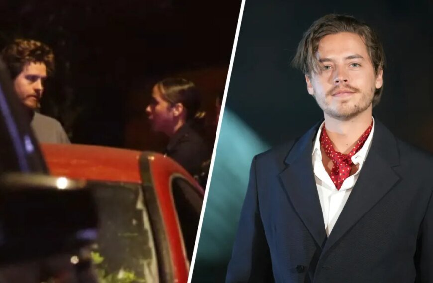 Dylan Sprouse Addresses Intruder at His Hollywood Hills Home