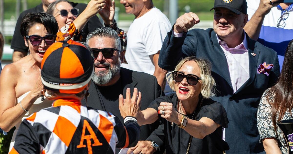 From a $500 Bid to Horse Parents: Our Journey to a Kentucky Derby Contender