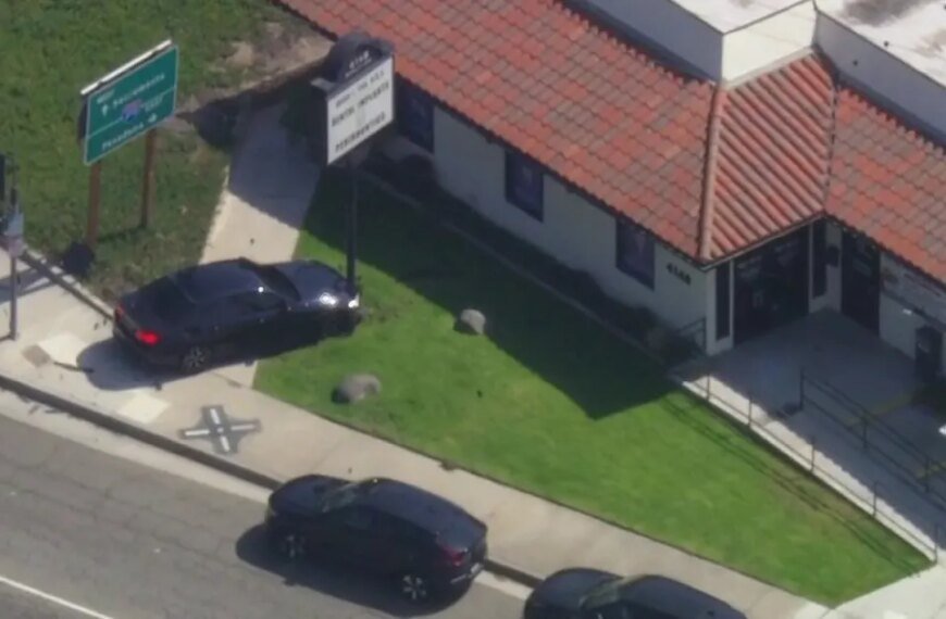 Fugitive on the Run After Crashing into Sign Near Montrose Dental Office