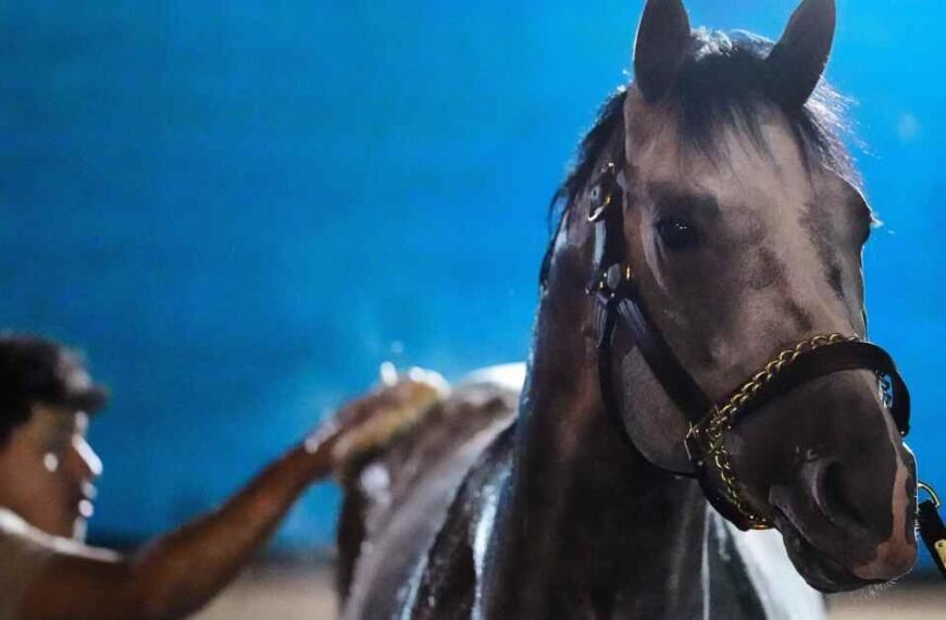 Fulleffort Dropped from Kentucky Derby Lineup as Ocelli Joins the Race
