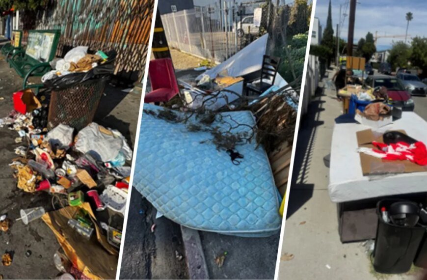 Hollywood Residents Invest Time and Money to Tackle Illegal Dumping Issues