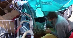 Homeless Encampments in Venice Illuminate Challenges Facing Los Angeles City Hall