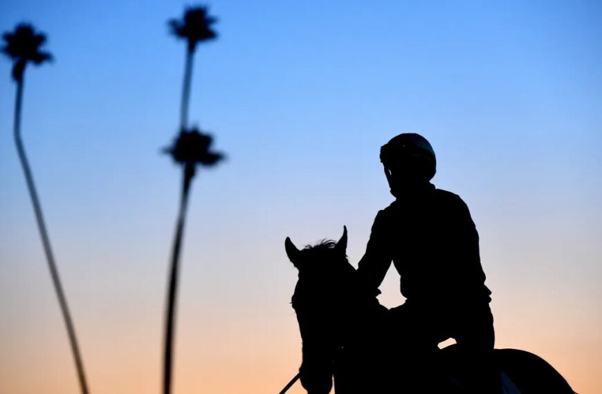 Horse Tragically Passes Away After Fall at Santa Anita's Derby Day