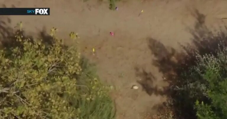 Human Remains Discovered During Easter Egg Hunt, LBPD Reports