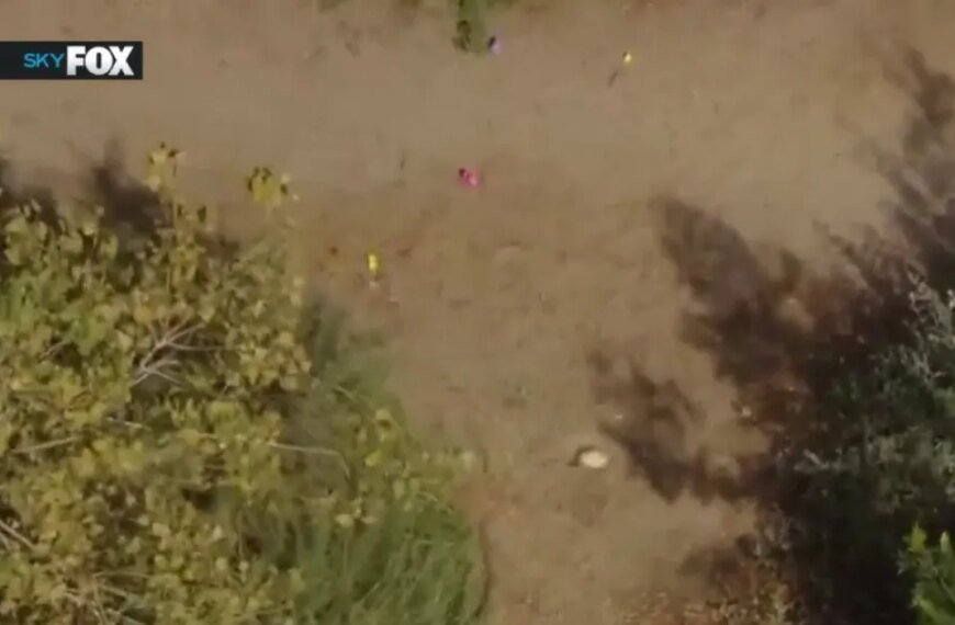 Human Remains Discovered During Easter Egg Hunt, LBPD Reports