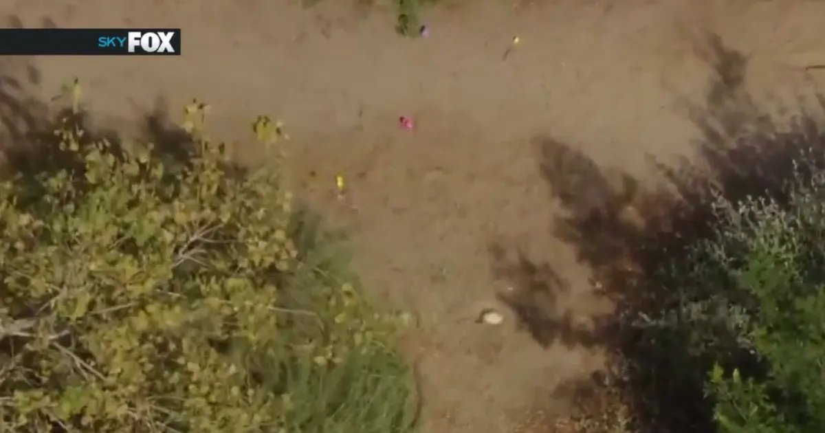 Human Remains Discovered During Easter Egg Hunt, LBPD Reports