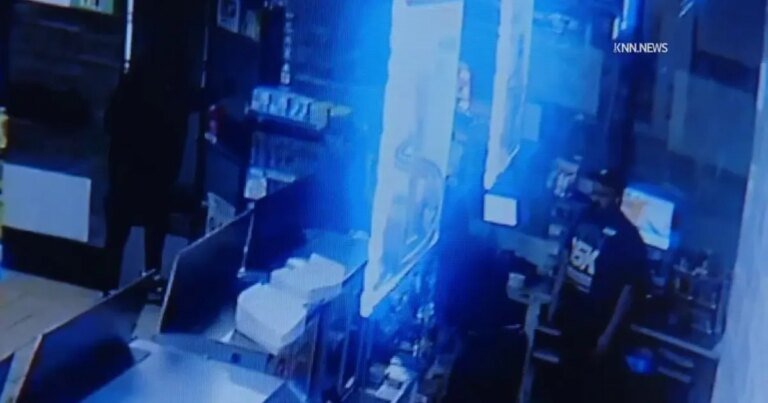 Investigating Recent Robberies at LA 7-Eleven Stores