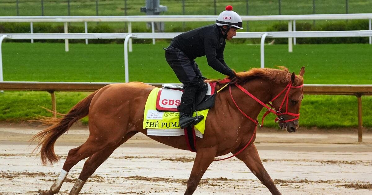 L.A. Native Brian Kahn Excited to Have Bred a Kentucky Derby Horse