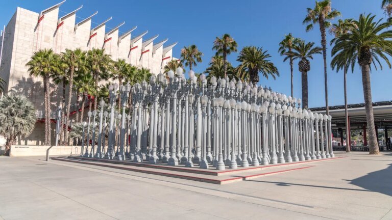 LACMA and Erewhon Team Up for a New Café at the Museum