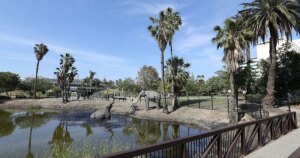La Brea Tar Pits to Undergo Two-Year Renovation Before the 2028 Olympics