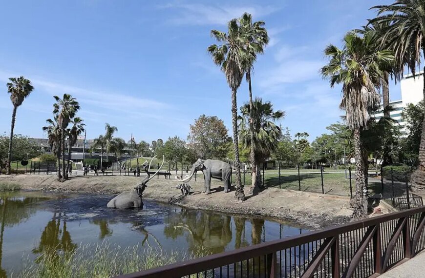 La Brea Tar Pits to Undergo Two-Year Renovation Before the 2028 Olympics