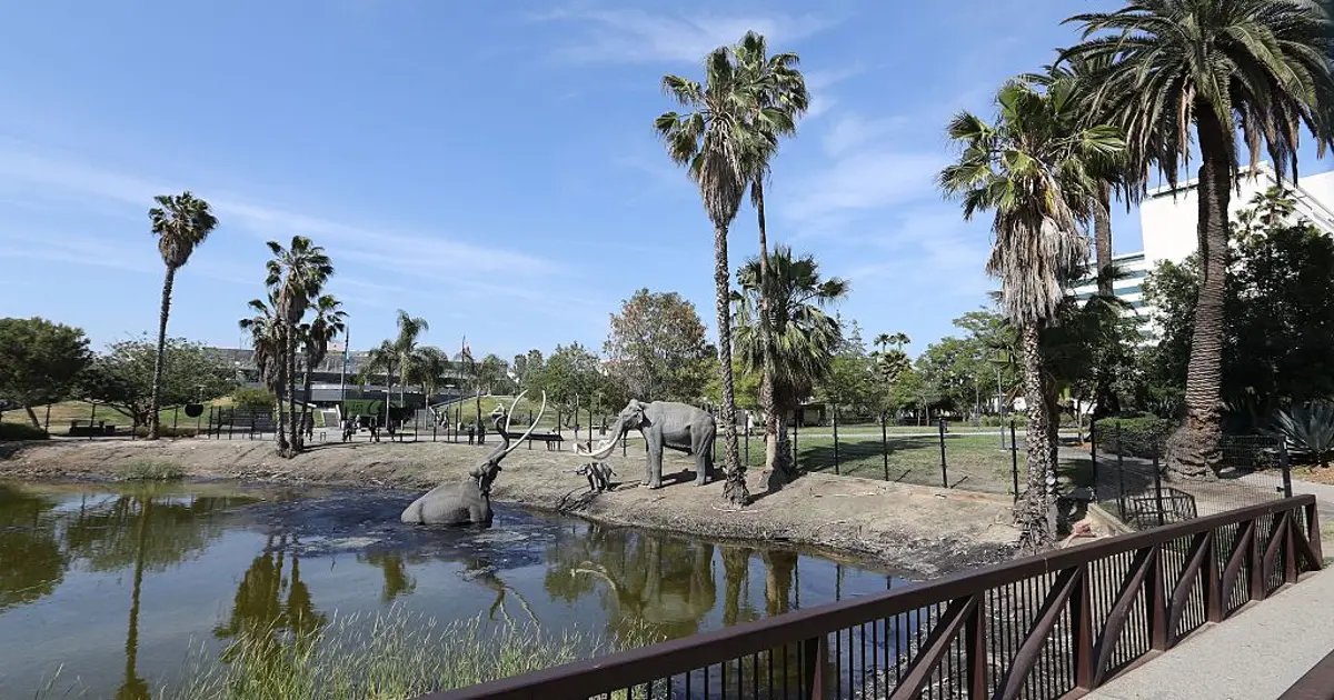 La Brea Tar Pits to Undergo Two-Year Renovation Before the 2028 Olympics
