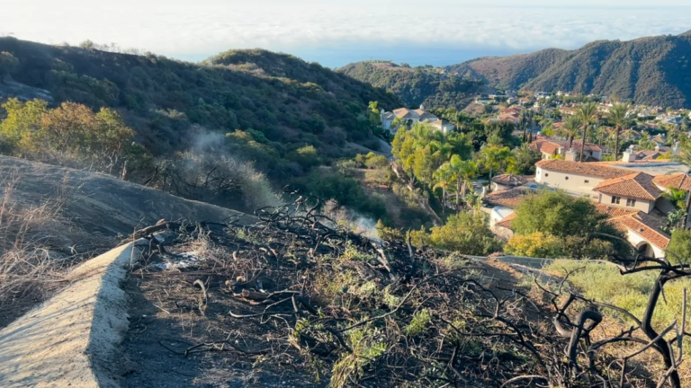 Man Accused in Palisades Fire Claims Firefighters Share Responsibility