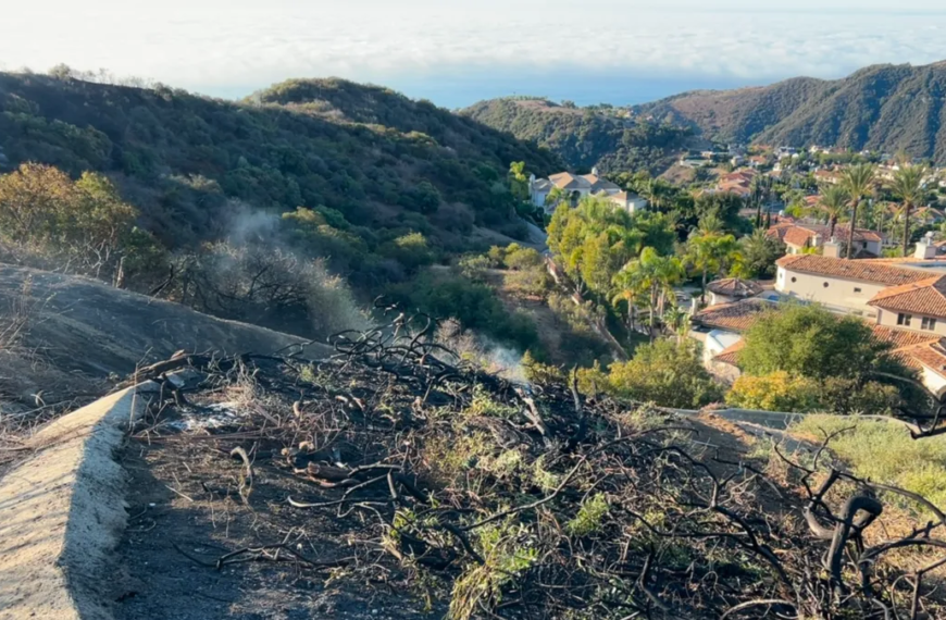 Man Accused in Palisades Fire Claims Firefighters Share Responsibility