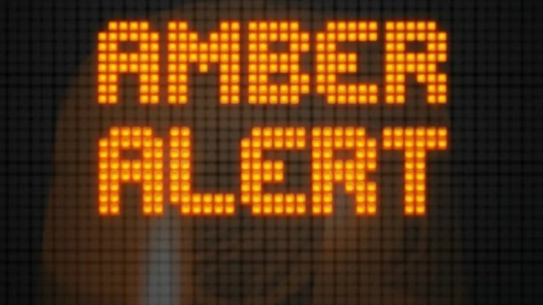 Man Faces Felony Charges in Kidnapping Case Involving 3-Year-Old Boy from Amber Alert