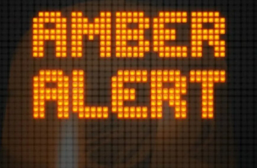 Man Faces Felony Charges in Kidnapping Case Involving 3-Year-Old Boy from Amber Alert