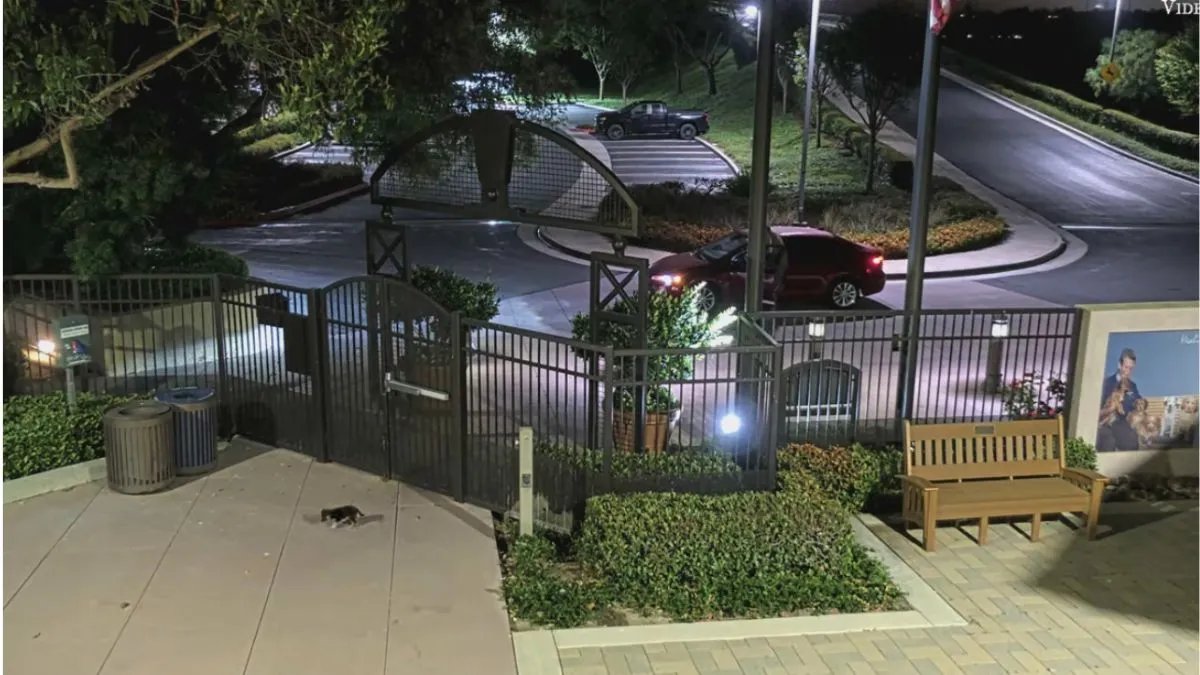 Man Leaves Puppy Outside Animal Care Center in Mission Viejo