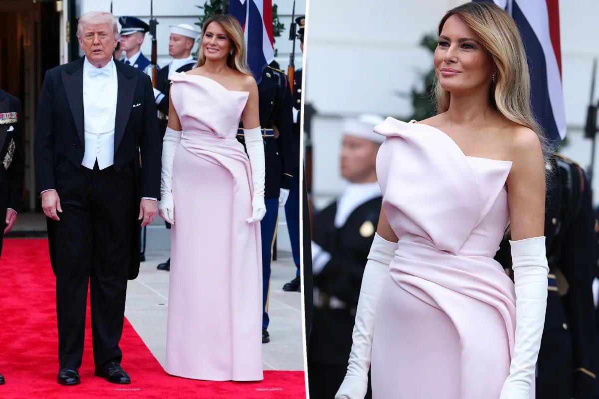 Melania Trump Dazzles in Pink Dior Haute Couture at the State Dinner