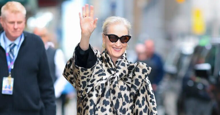 Meryl Streep's Stylish $745 Handbag: How to Achieve the Look for Only $37