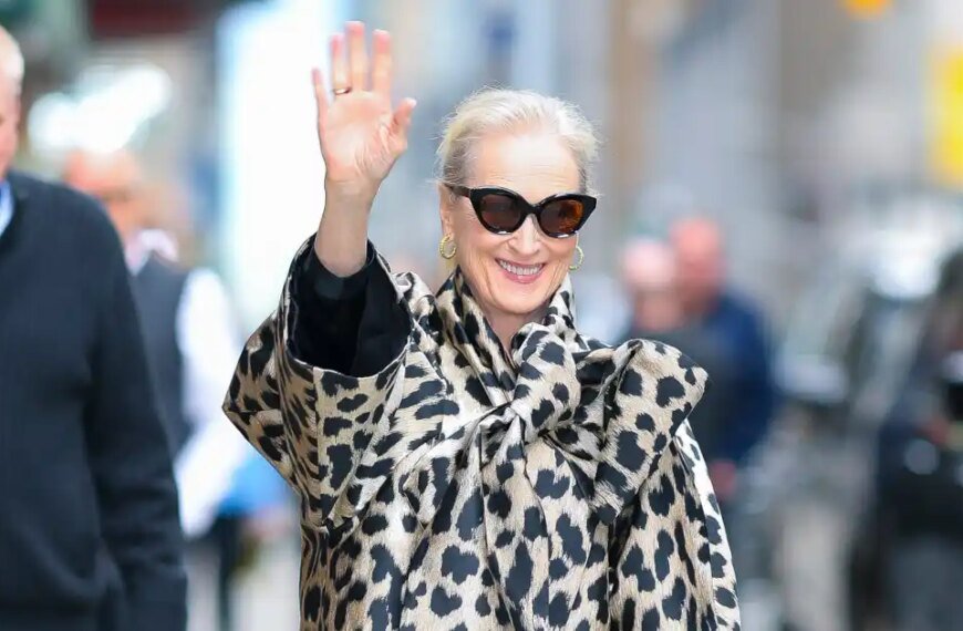 Meryl Streep's Stylish $745 Handbag: How to Achieve the Look for Only $37